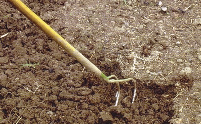 enfouissement du compost