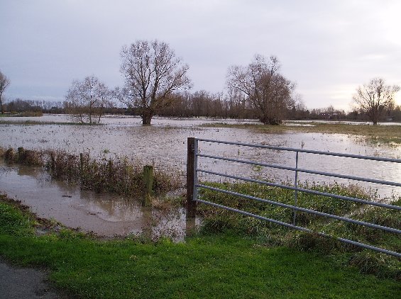 prairies inondées par la Bourre