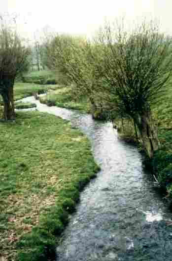 La Selle.jpg (13892 octets)